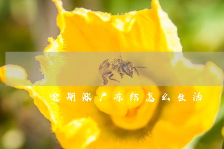 逾期账户冻结怎么生活 逾期账户冻结怎么生活