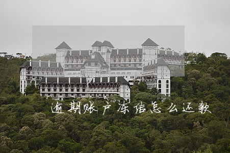 逾期账户冻结怎么还款
