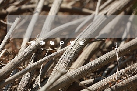 逾期账户分录 逾期账户分录