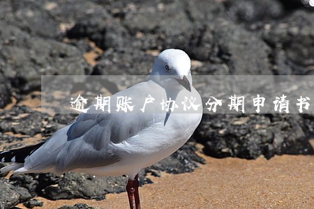 逾期账户协议分期申请书 逾期账户协议分期申请书