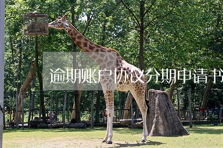 逾期账户协议分期申请书怎么填 逾期账户协议分期申请书怎么填