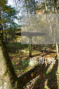 逾期账户和逾期次数