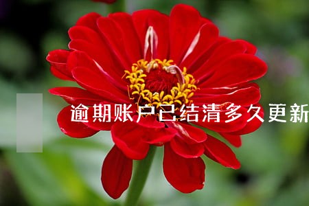 逾期账户已结清多久更新 逾期账户已结清多久更新