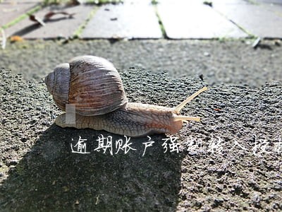 逾期账户强制转入授权 逾期账户强制转入授权