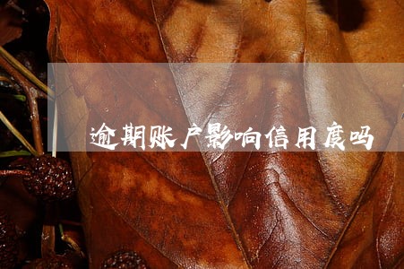 逾期账户影响信用度吗 逾期账户影响信用度吗