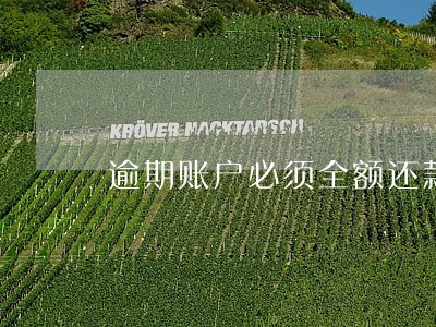 逾期账户必须全额还款吗