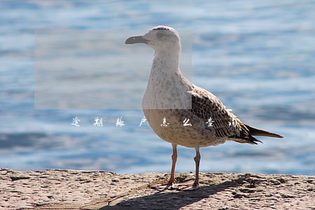 逾期账户怎么查询 逾期账户怎么查询