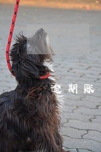 逾期账户怎么消除