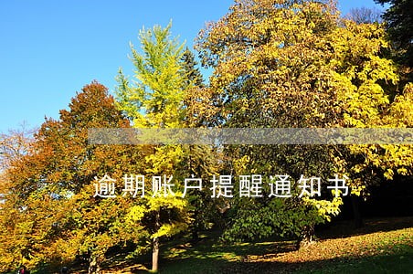 逾期账户提醒通知书 逾期账户提醒通知书
