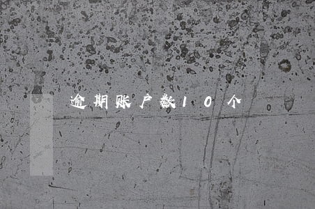 逾期账户数10个 逾期账户数10个
