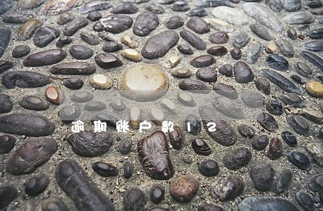 逾期账户数12
