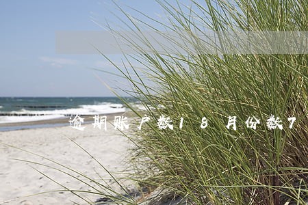 逾期账户数18月份数7 逾期账户数18月份数7