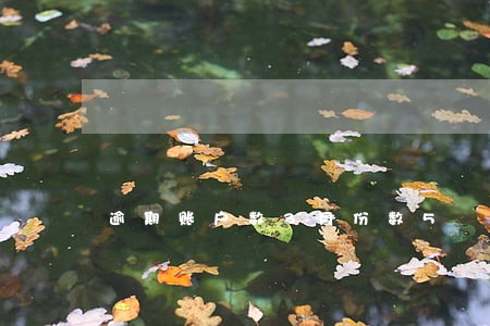 逾期账户数3月份数5 逾期账户数3月份数5