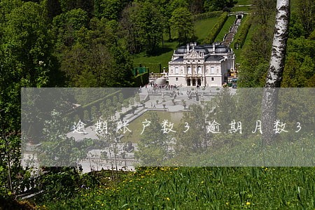 逾期账户数3逾期月数3