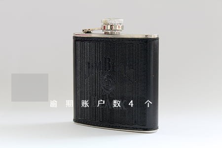 逾期账户数4个 逾期账户数4个