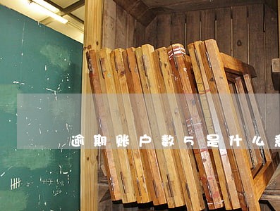 逾期账户数5是什么意思 逾期账户数5是什么意思