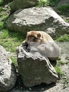 逾期账户数7个 逾期账户数7个