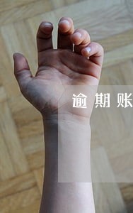 逾期账户数8 逾期账户数8