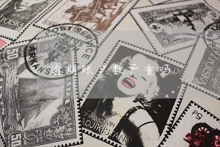 逾期账户数严重吗
