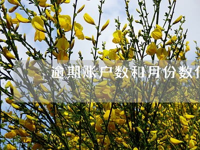逾期账户数和月份数什么意思