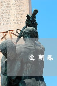 逾期账户数和月份数是什么意思 逾期账户数和月份数是什么意思