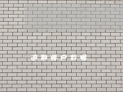 逾期账户数据 逾期账户数据