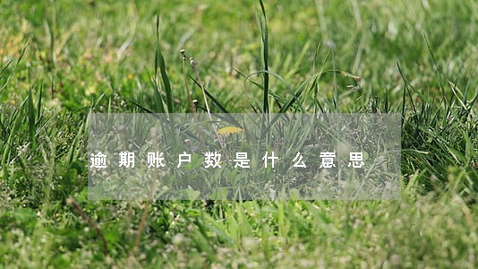 逾期账户数是什么意思 逾期账户数是什么意思