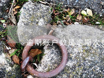 逾期账户数是逾期次数吗 逾期账户数是逾期次数吗