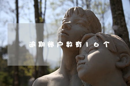 逾期账户数有16个 逾期账户数有16个