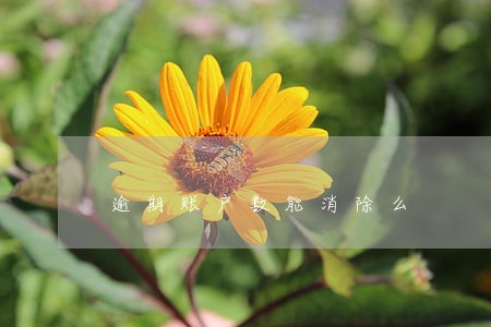 逾期账户数能消除么 逾期账户数能消除么