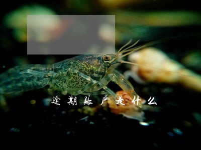 逾期账户是什么 逾期账户是什么