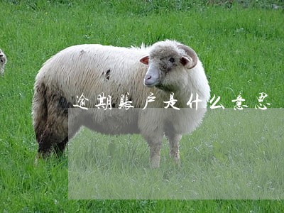 逾期账户是什么意思 逾期账户是什么意思