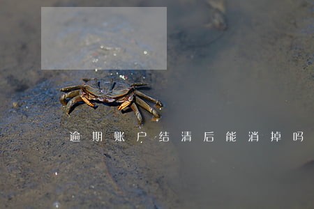 逾期账户结清后能消掉吗