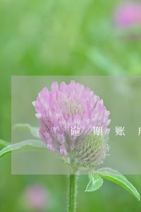 逾期账户结清时间