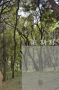 逾期账户被冻结一次性还清后 逾期账户被冻结一次性还清后
