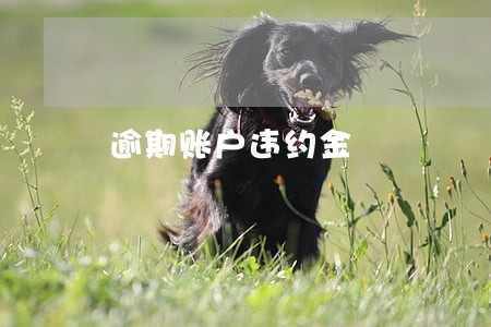 逾期账户违约金 逾期账户违约金
