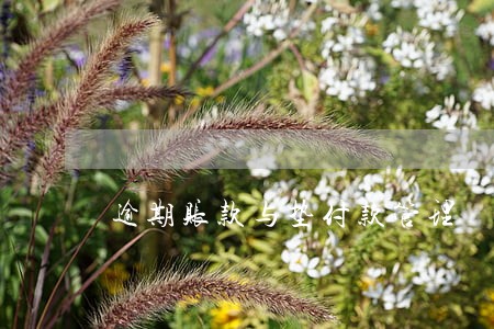 逾期账款与垫付款管理 逾期账款与垫付款管理