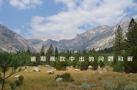 逾期账款中出的问题和解决办法