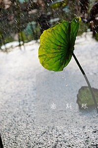 逾期账款催收及激励制度 逾期账款催收及激励制度