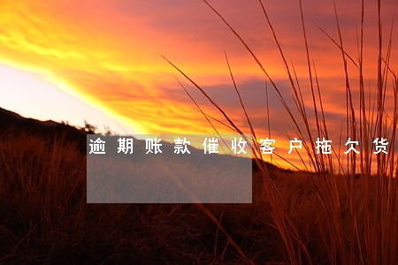逾期账款催收客户拖欠货款 逾期账款催收客户拖欠货款