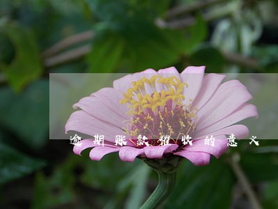 逾期账款催收的意义 逾期账款催收的意义