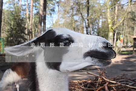 逾期账款占应付款比例多少合适 逾期账款占应付款比例多少合适