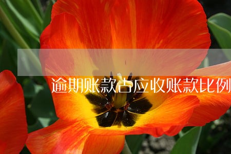 逾期账款占应收账款比例计算 逾期账款占应收账款比例计算