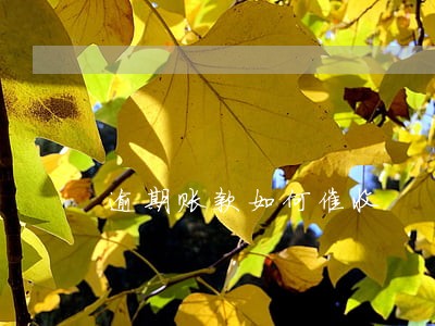 逾期账款如何催收 逾期账款如何催收