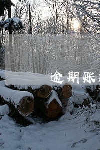逾期账款对企业的危害 逾期账款对企业的危害