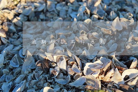 逾期账款工作原则 逾期账款工作原则