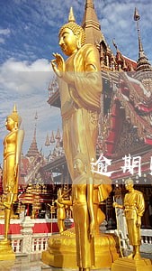 逾期账款强制执行 逾期账款强制执行