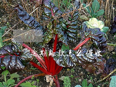 逾期账款怎么催收 逾期账款怎么催收