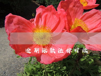 逾期账款法律时效 逾期账款法律时效