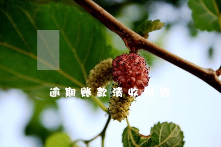逾期账款清收报告 逾期账款清收报告